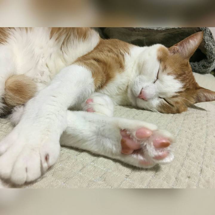 F67b92f5 4be8 4015 b5af b6fc7cc4dbd6