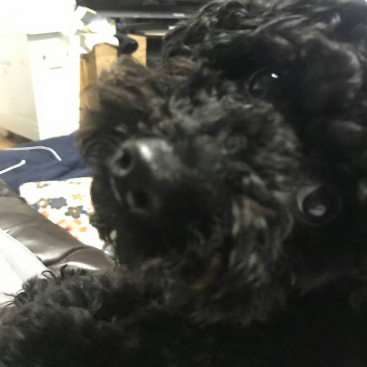 F67b943f e757 4320 aecb 6b6086d44edd