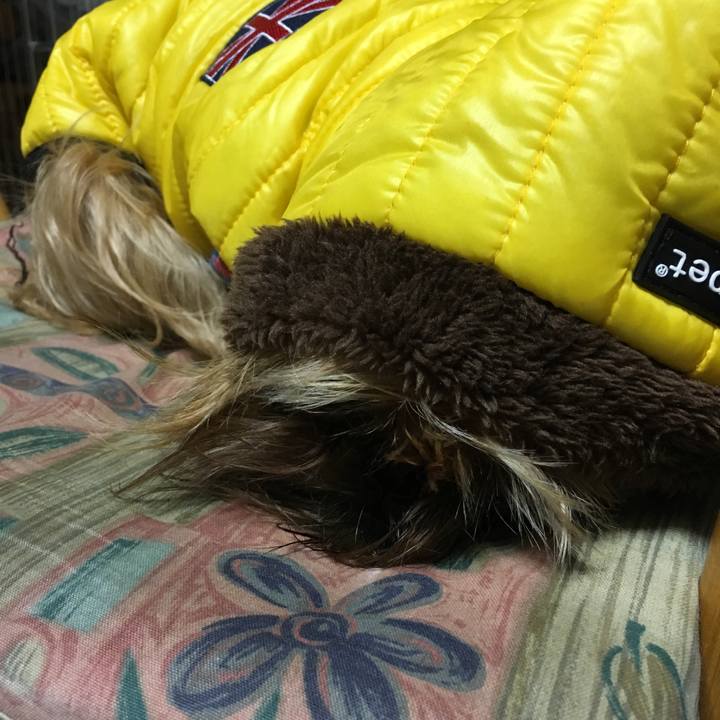 F67c59a5 6280 49da 9ef4 a7f96036864c