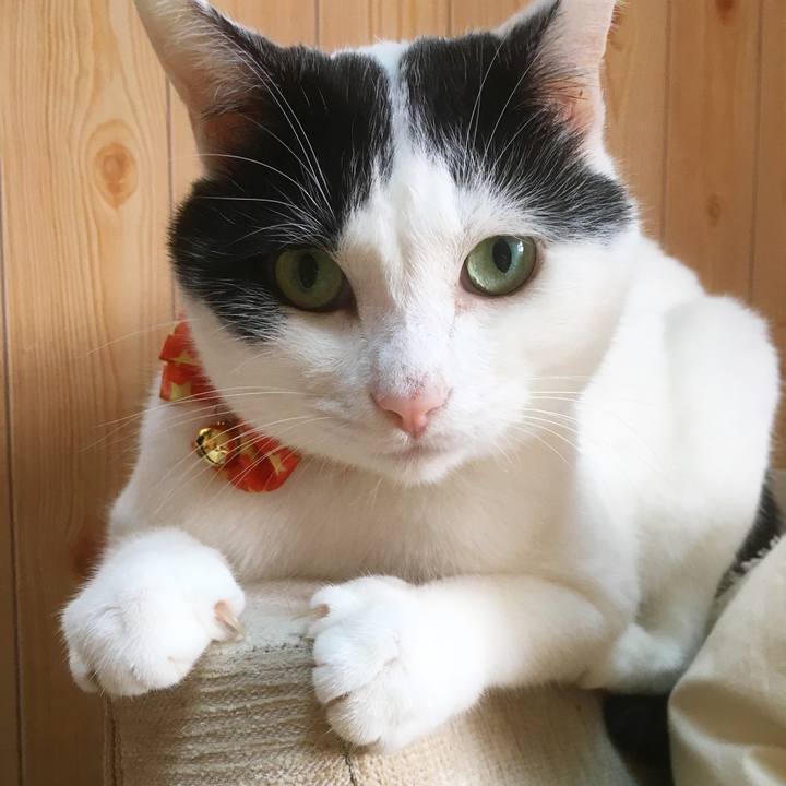 F67ca928 6d64 43dd 8e7f 418b03a2ba47