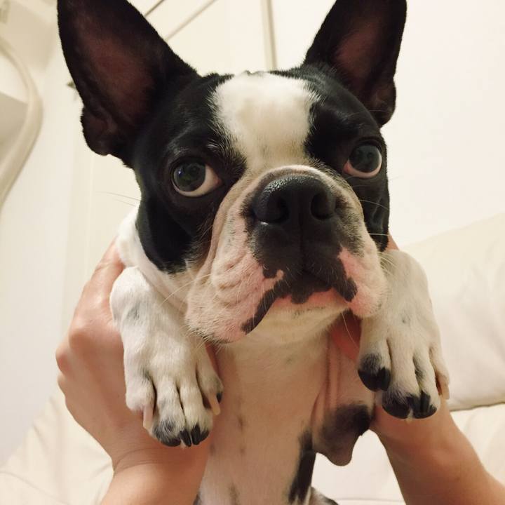 F67d6a9d e413 4bcd 9374 0200dcd67a28