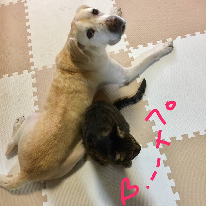 F67dc044 db3d 4cae 8b74 972508e69efd