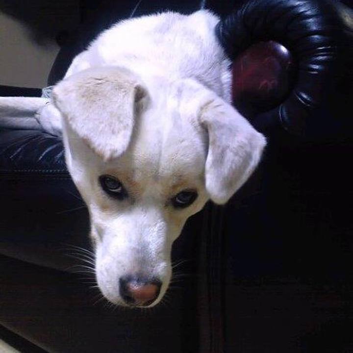 F67df51c 7326 4072 bafd dd20136e1632