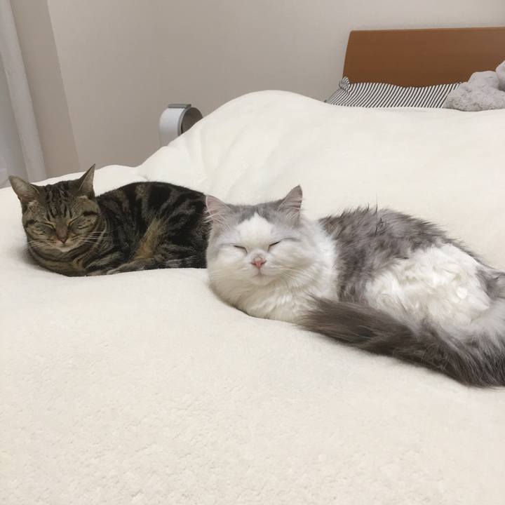 F67e47dd 53cb 4105 a743 7a52a78d252f