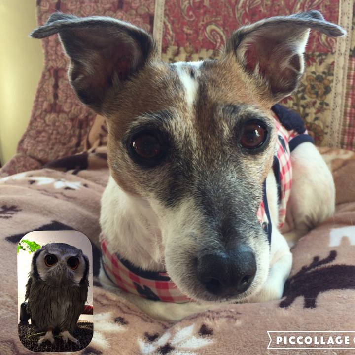 F67e56b1 49c3 4d3c 84a1 abaafd500276