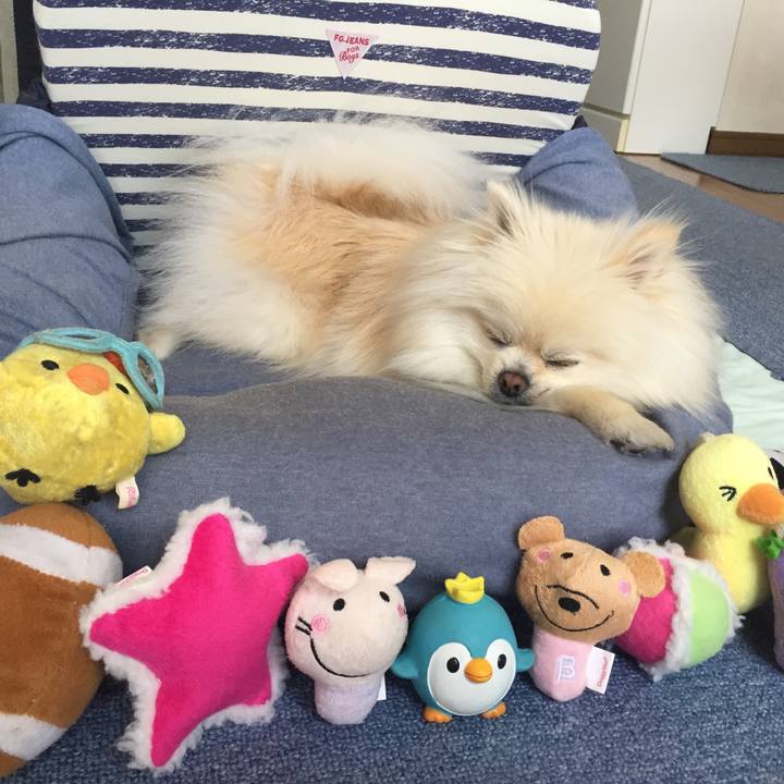 F67e8640 4364 4b9e ac40 d79dbb56baa0