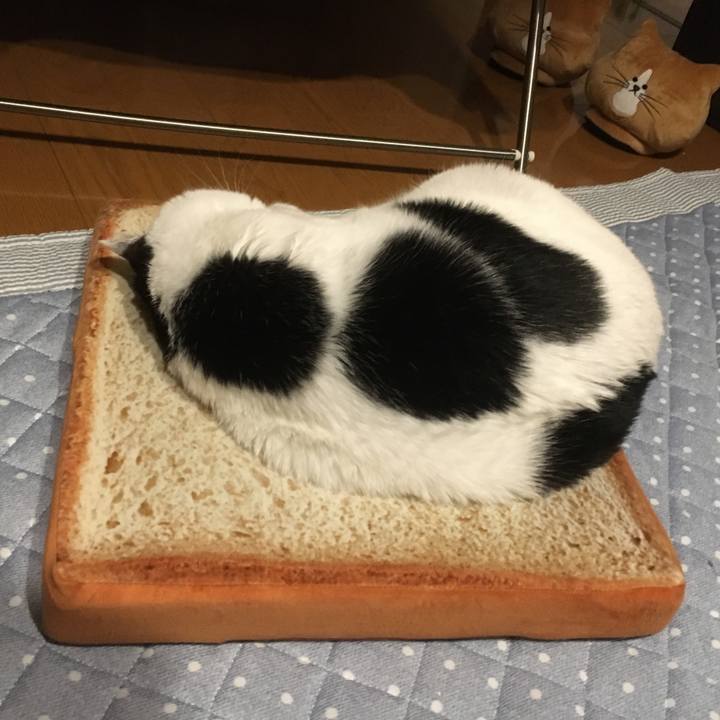 F67e8bfb b55e 494c a749 9aec0b6fbf44