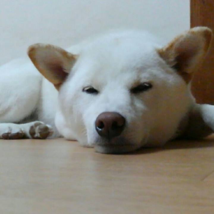 F67ecd59 2ab8 4042 b258 43c2ebf882c1