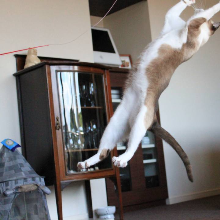 F67f9bf6 90c8 4189 8223 d9bd67535ad7