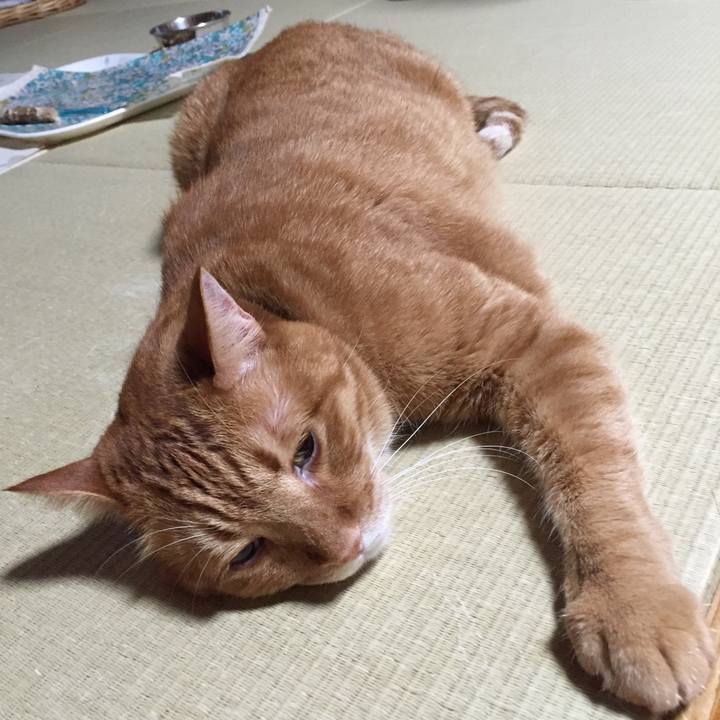 F67fb8ac f7b2 406e 8f20 d9564ac17090