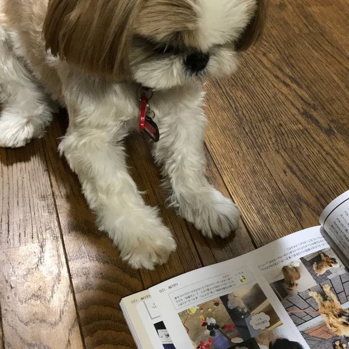 F67fe01e 01e1 4bfa a9f3 161f0386b9e4