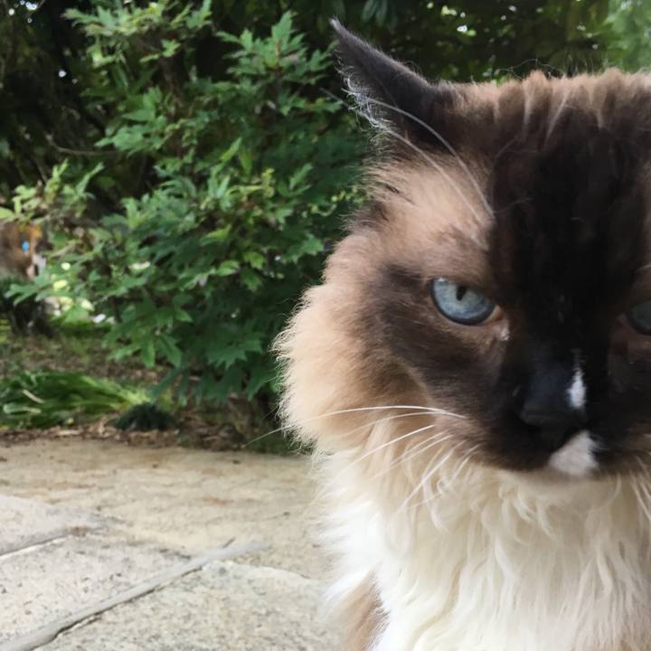 F67ff3dc 7740 4880 a94c adf69671bb3e