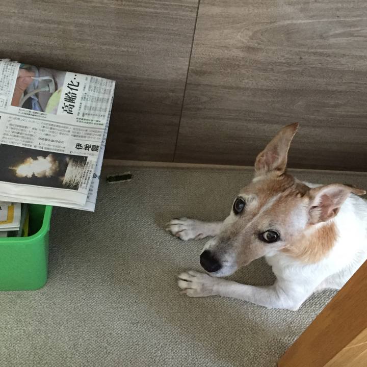 F68062ce 9fbb 4f4f a859 643ad28b550c