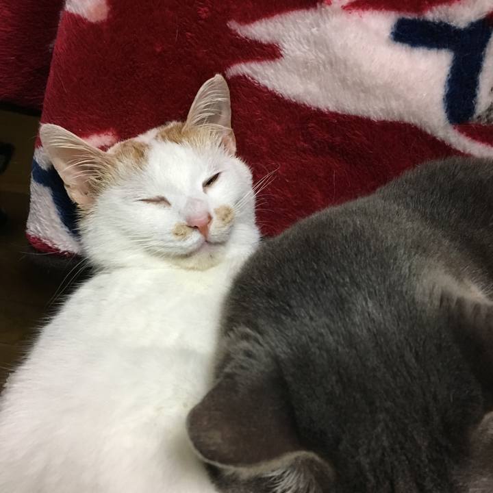 F681155c 69e4 455e 98b4 55c5c4f1920c