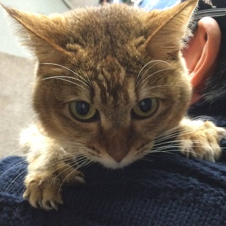 F6816346 41f0 4d38 bcdd 6fe42682ae97