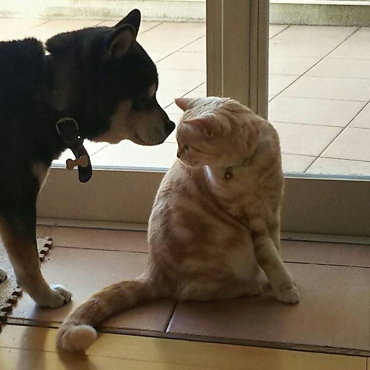 F68219b8 5049 4e00 bd31 acca7c888c9b