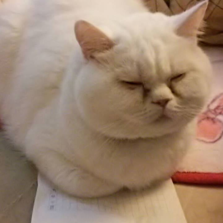 F68231c3 8b10 4381 aa00 566ce3b3b12c