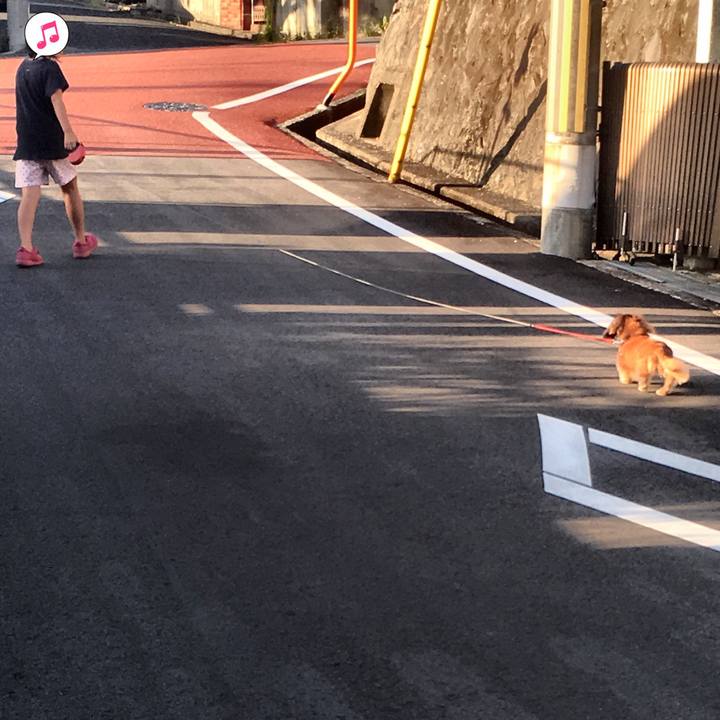 F6824485 f73b 4bd9 ab22 ae21b815cf8d