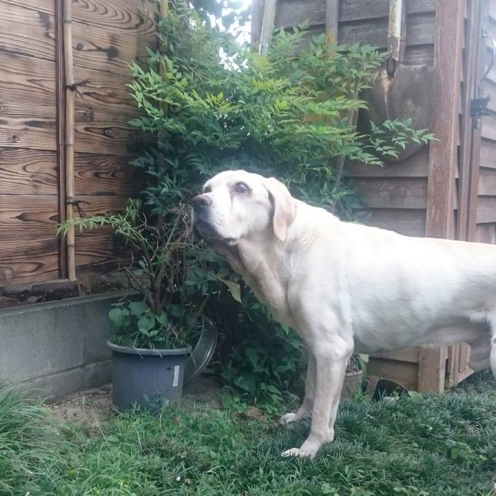 F682987d a139 4c30 a437 1f3f830df98f