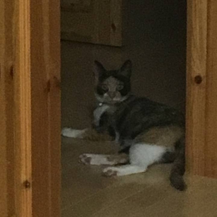 F682f4dc c138 4763 922b 8f2b5d9be22a