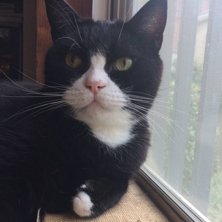 F6832548 f3fd 4655 b9a3 a56e649bfde8