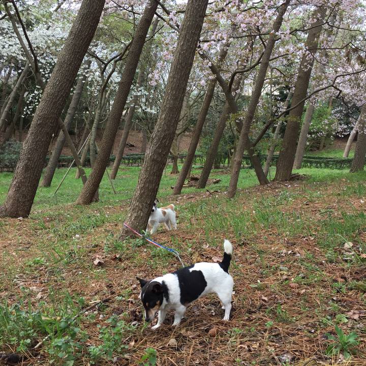 F683cae7 cd96 4fd7 b349 624768fcb58c