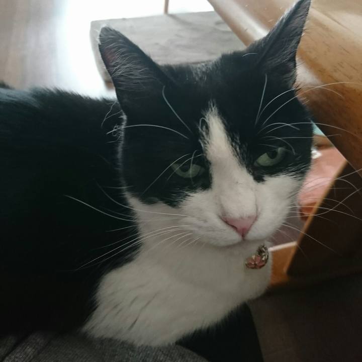 F68435a8 1941 4b82 b711 916684727083