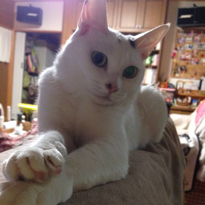 F684eead 1369 47e6 8de5 af47ff406e77