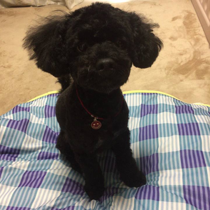 F68511c9 12f3 48a2 ba0a f90531f6700c