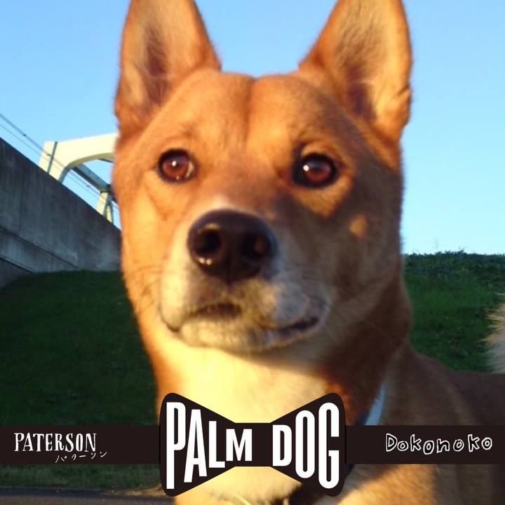 F685341a 52b9 4798 9826 118ad90b7be1