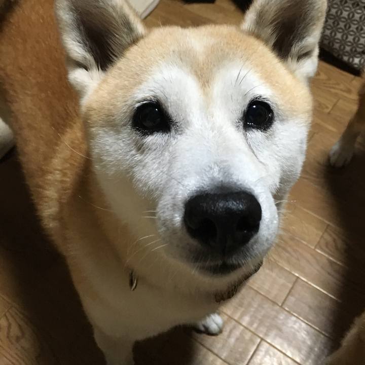 F68679d5 d93e 4de0 b628 e7a96fa3af4a