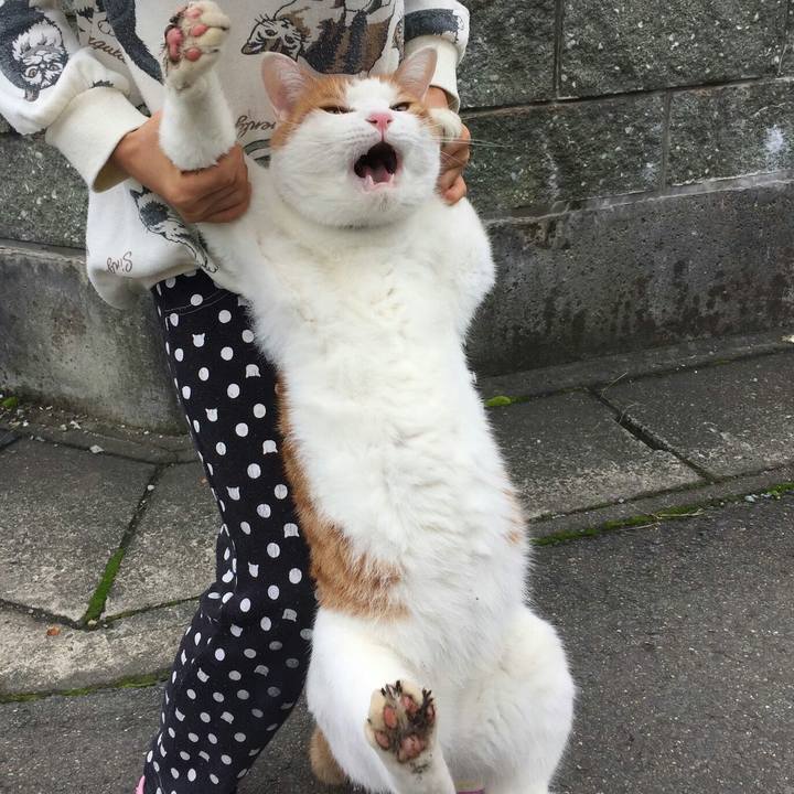 F686de34 a63c 4410 aa79 09da16ef6621