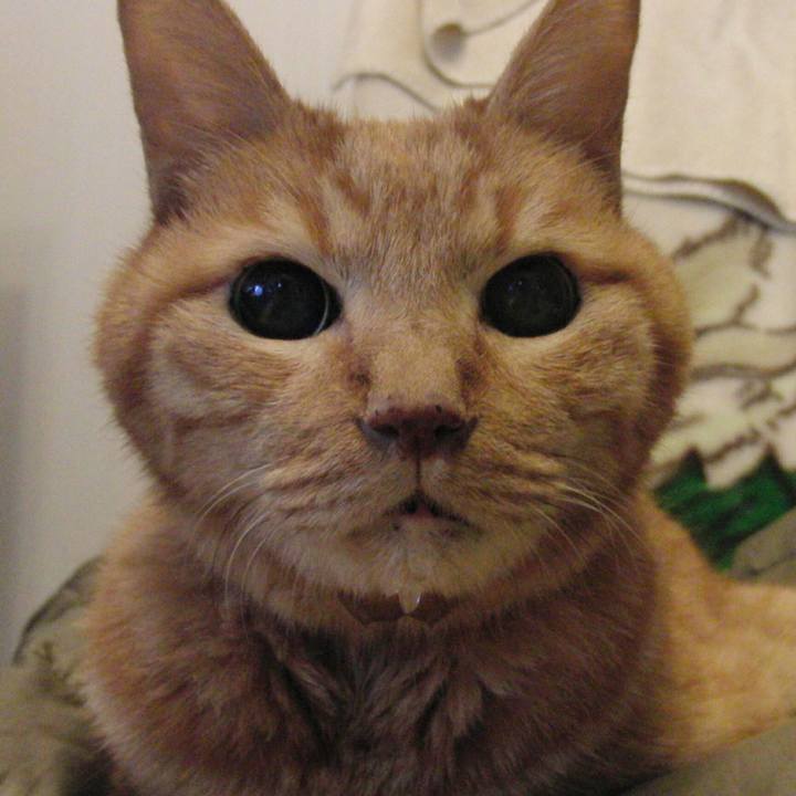 F6871d5b e0bb 4b92 8057 17c2cf13242e