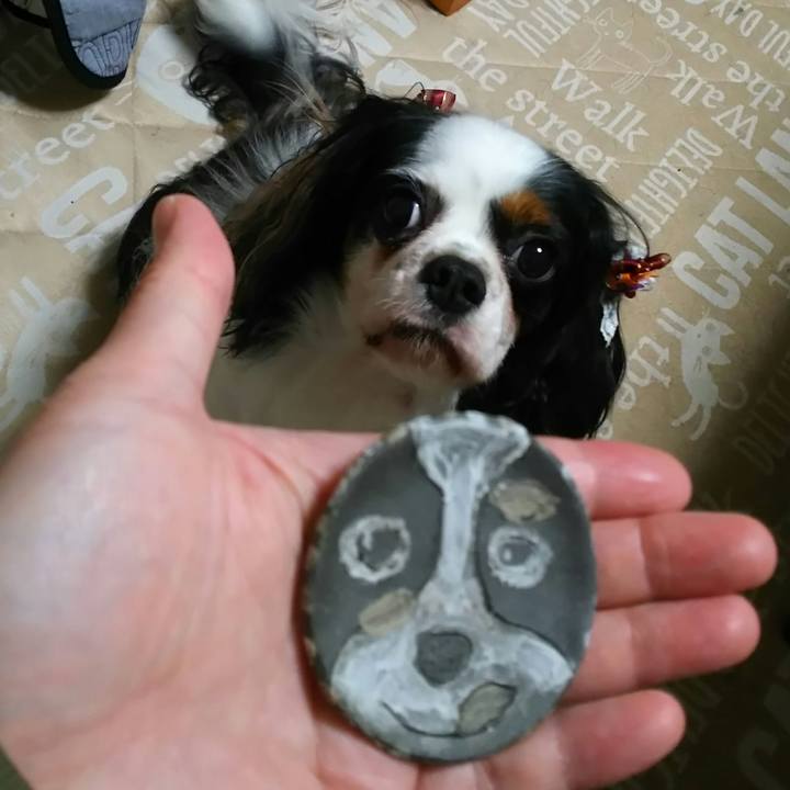 F6878328 64d3 4416 bcba fff1cbfe12b8