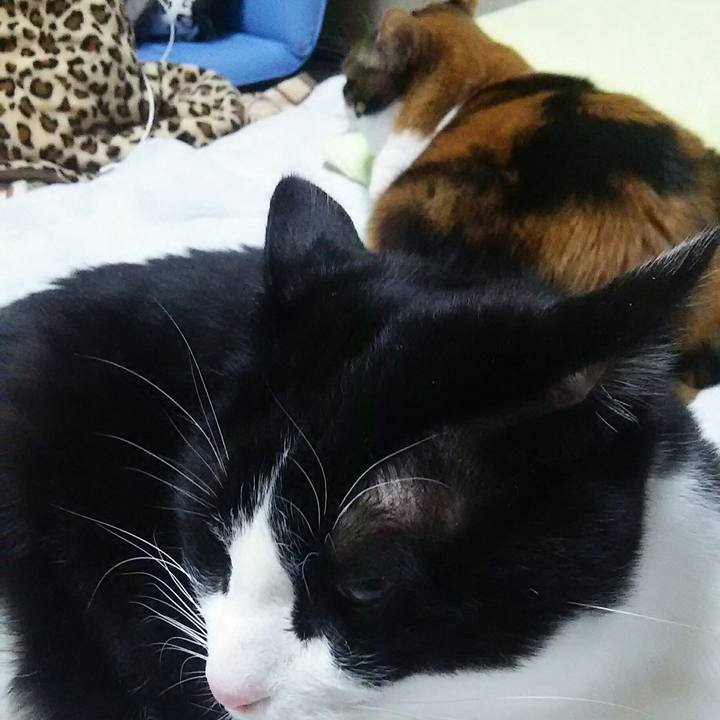 F6881544 ece6 4ccf a880 489546994592