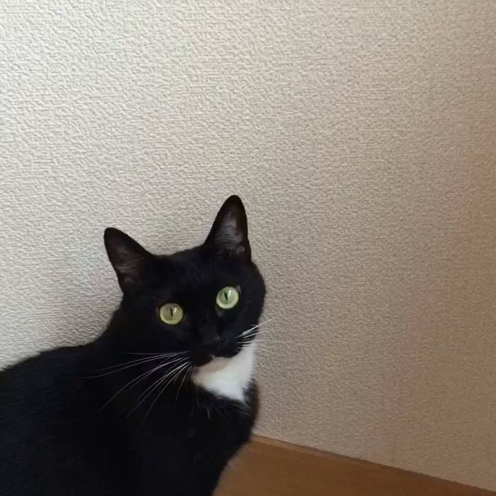 F68816a1 7b61 4ead 9376 31fb7d9af0a7