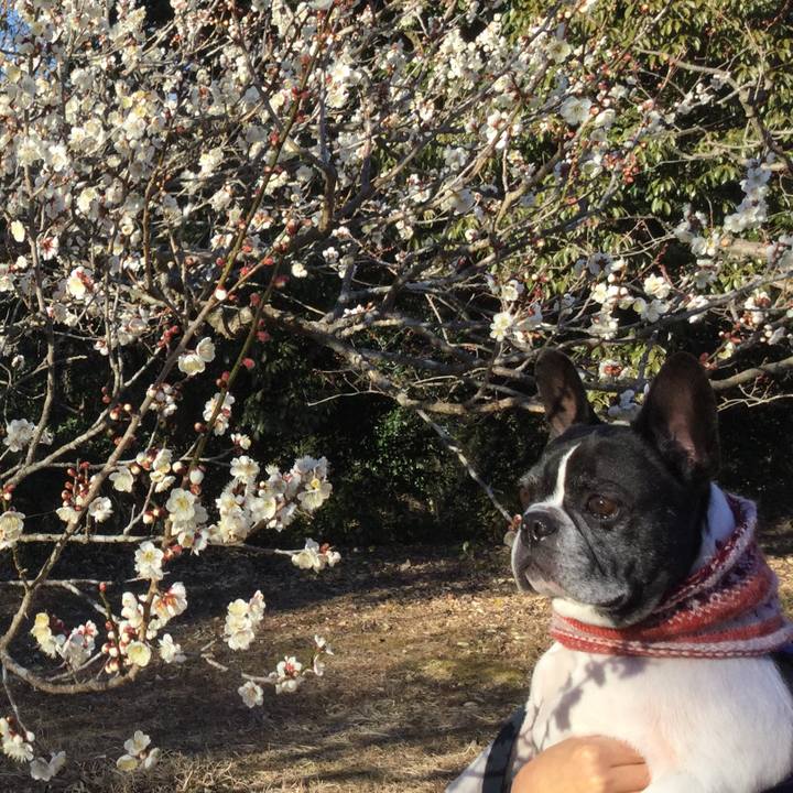 F6886c5a 43ae 4b8c a6fb 78466c8916be