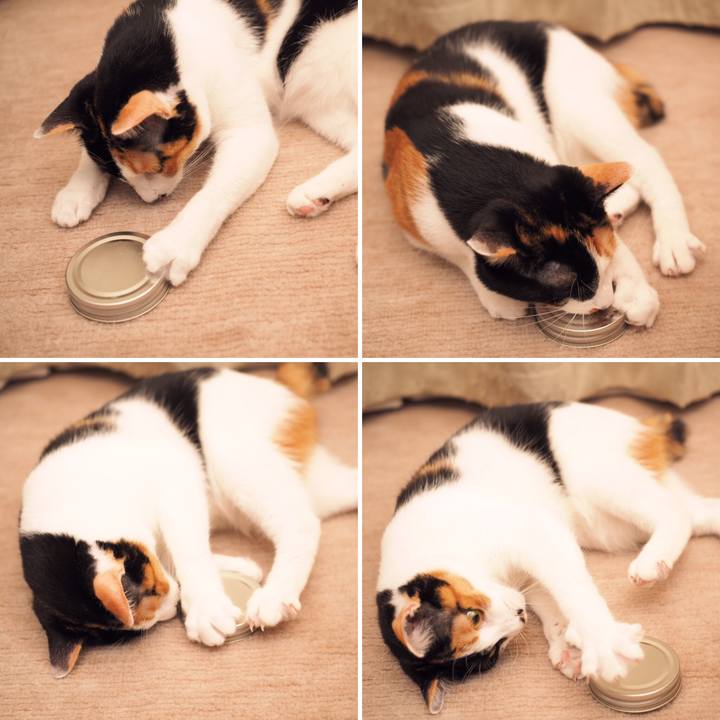 F68a2457 b848 40d5 9d52 29811a1106a8