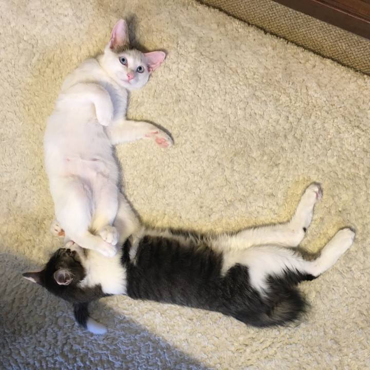 F68be566 b6dd 416f 9a49 eb1849c15338