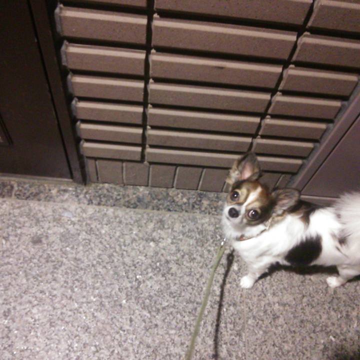 F68bf30a 4081 44d7 8060 315fc2945900