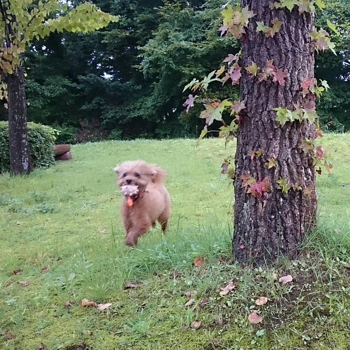 F68c6717 e73f 44a6 85cb c4d85d921969