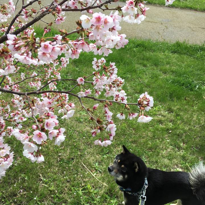 F68c6913 d9b4 4c1d 9d00 57b3b9ecfd66