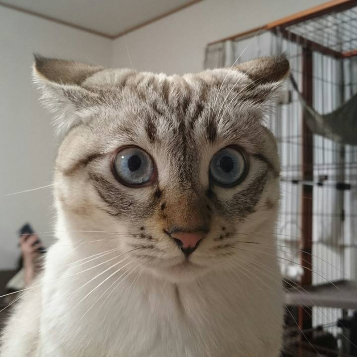 F68cc7f5 1930 4c51 87d4 d53f14a4a216