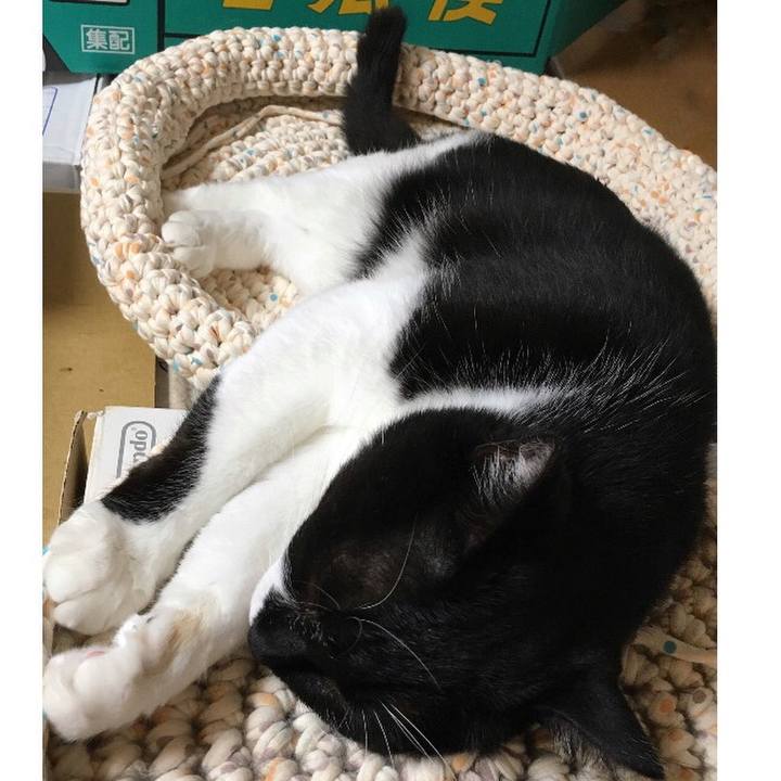 F68d6720 b396 450a 9e17 1f33bb659223