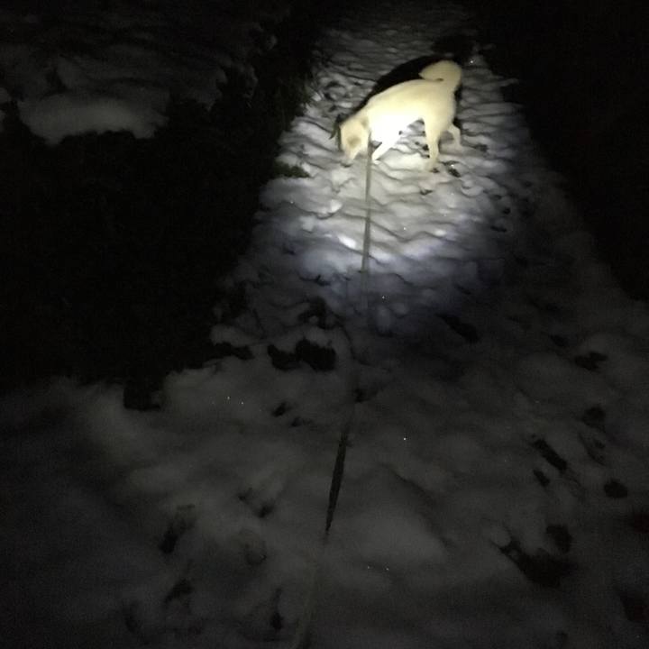 F68dd46e db27 4354 8389 bfc5cad9962a