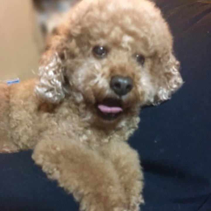 F68e1e6e 6943 4265 95e4 2d7107dcc42a