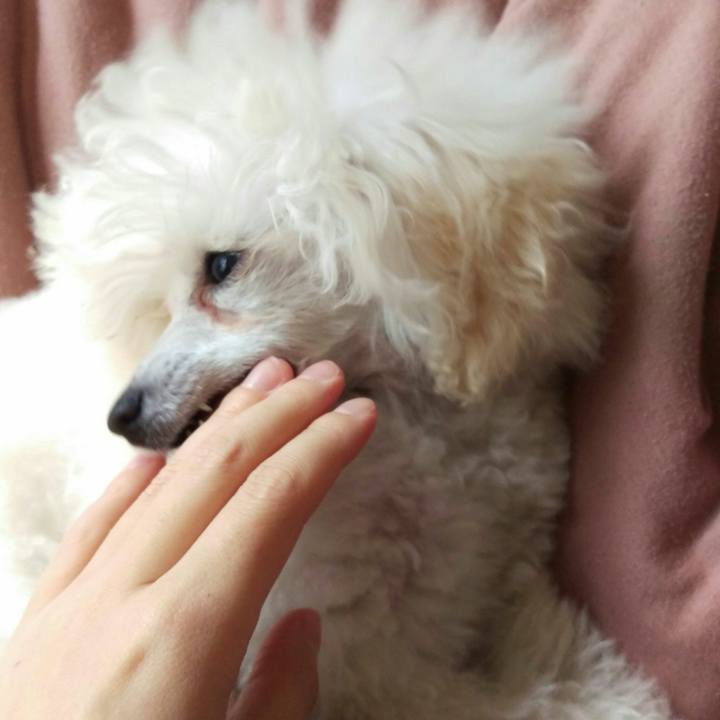 F68e5b52 7357 4707 8cc0 a350b3b3fd7c