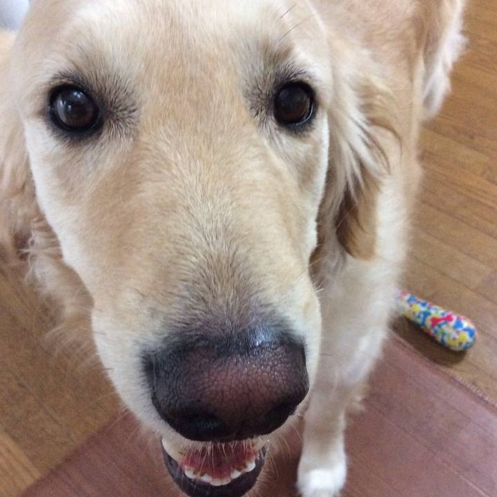 F68ea0f6 c1dc 4369 b66c 7e88ed267860