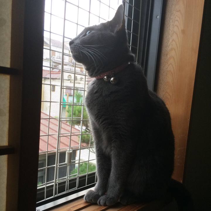 F68edc8d c64d 4432 8922 238ee8a26d8d