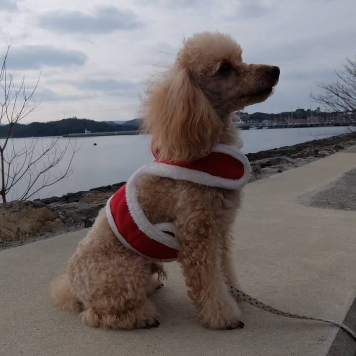 F68f17e2 d8c9 424e a722 3116ac61e710